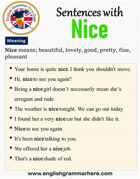 nice meaning in english with example