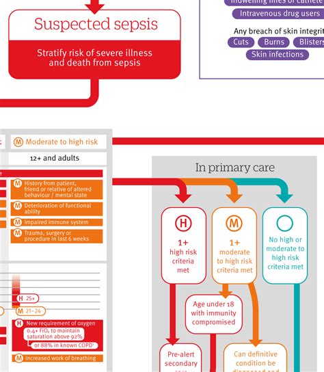 nice sepsis guidelines 2024