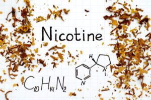 nicotine in system for life insurance