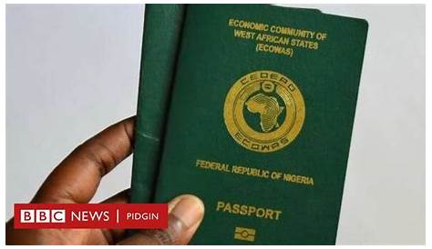 Cost Of A Nigeria International Passport - Travel (565) - Nigeria