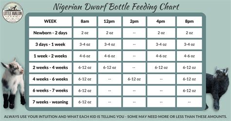 nigerian dwarf goat bottle feeding schedule