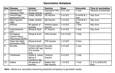 nigerian dwarf goat vaccination schedule