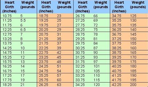 nigerian dwarf goat weight chart by age