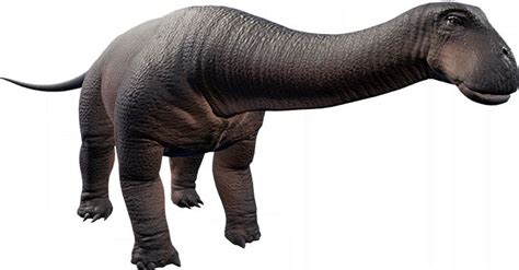 nigersaurus rex wikipedia