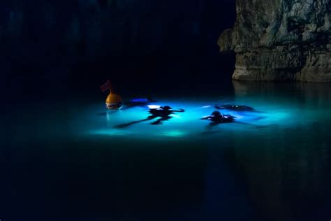 night diving experience