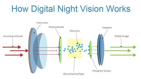 Night Vision Image Processing