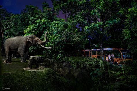 night zoo singapore tickets