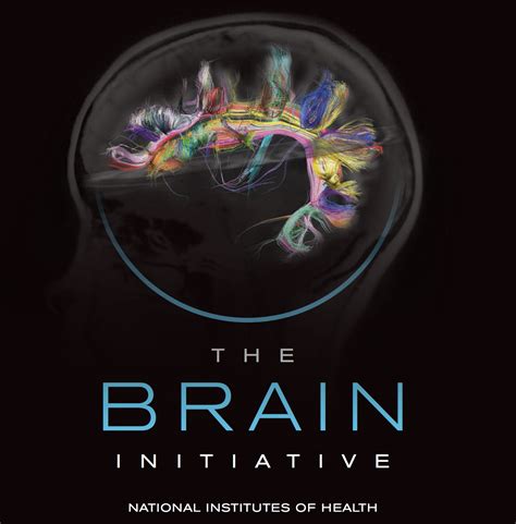 nih brain initiative grants