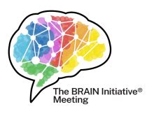 nih brain initiative meeting