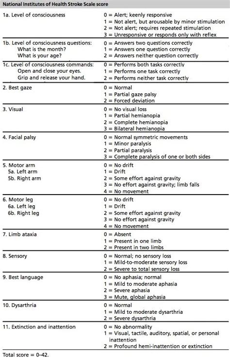 Decoding NIH Stroke Scale Indications: Vital Insights into Neurological Assessment