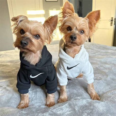 Nike Pet Clothes