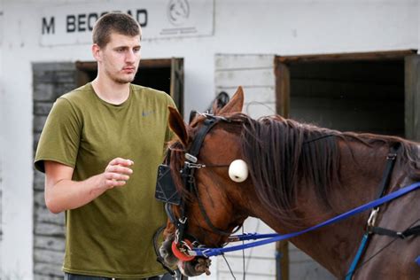 nikola jokic horses