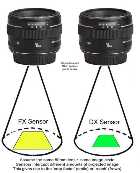 Nikon Fx Dx Lens Difference