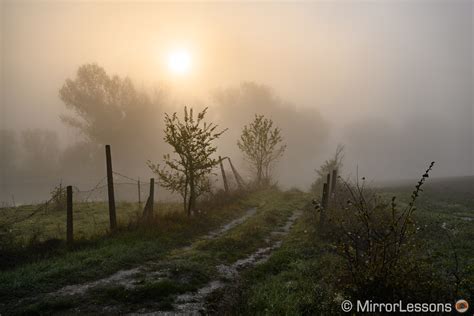 Nikon Z7 Sample Images Raw