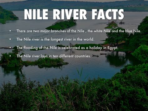 nile river fun facts for kids