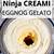 ninja creamy eggnog ice cream recipe