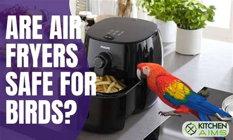 ninja air fryer safe for birds