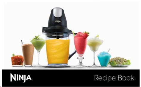 ninja professional blender recipes pdf