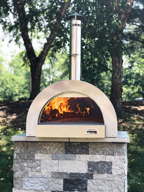 ninja wood fired pizza oven