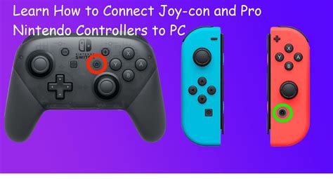 nintendo switch controller software for pc