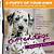 nintendogs dalmatian and friends action replay codes all dogs