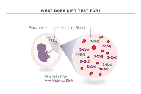 nipt genetic testing cpt code