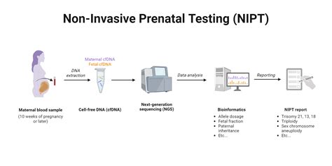 nipt non invasive prenatal testing cpt code