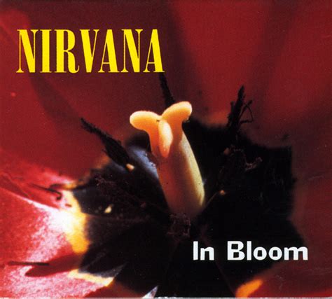 nirvana in bloom release date