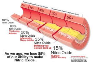 Nitric Oxide Connection