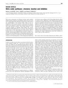 Nitric Oxide Synthases Structure Function And Inhibition