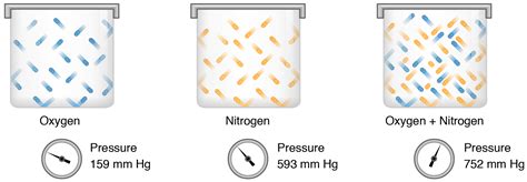Nitrogen Air Partial Pressure