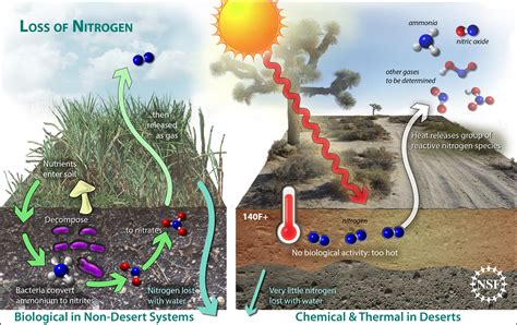 Nitrogen And Climate Change