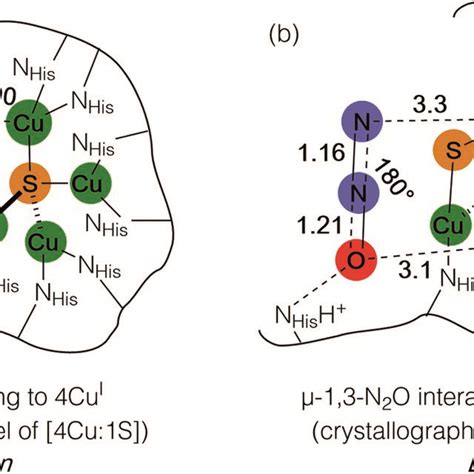 Nitrous Oxide Interactions