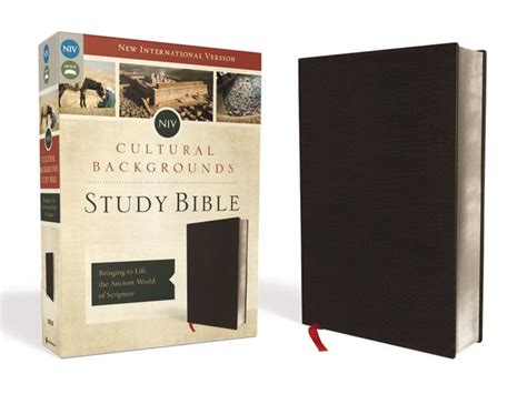 niv cultural backgrounds study bible leather
