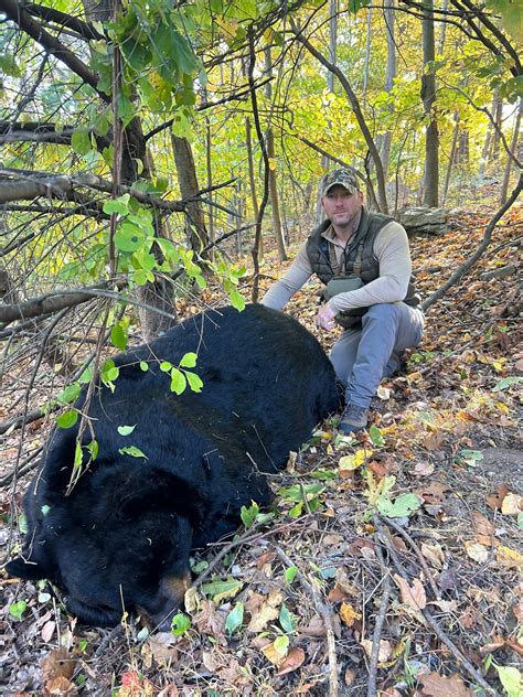 nj black bear record
