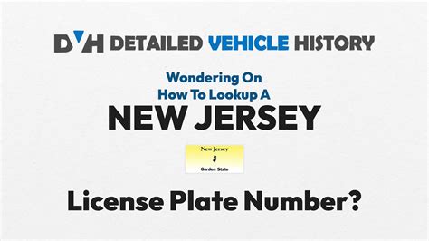 nj dca license lookup