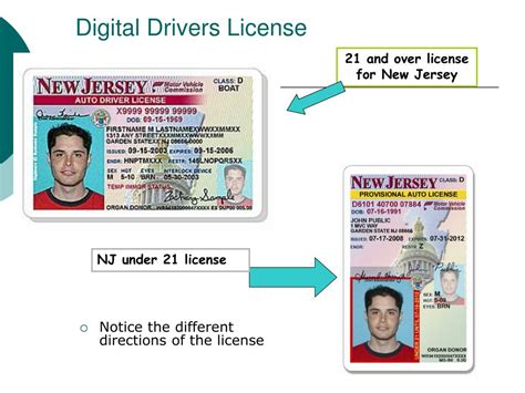 nj dca license verification system