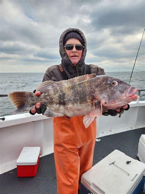 nj sea bass season