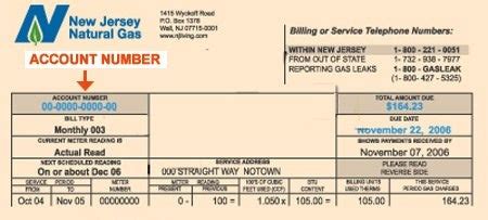 njng pay bill