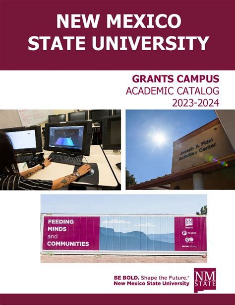 Nmsu Catalog Course Description