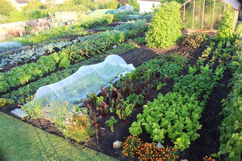 The Basics of NoDig Gardening • Insteading