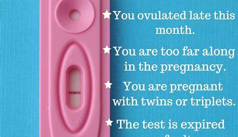 No Period Am I Pregnant Quiz ? How To Know t’s Time