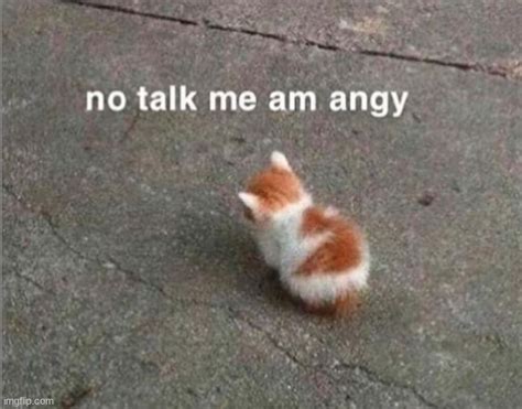 No Talk Me Im Angry Cat Classic Round Sticker Zazzle.co.uk