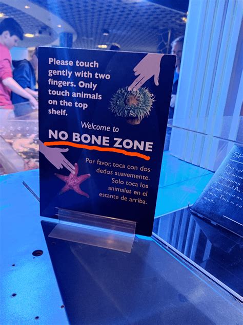 no bone zone 10