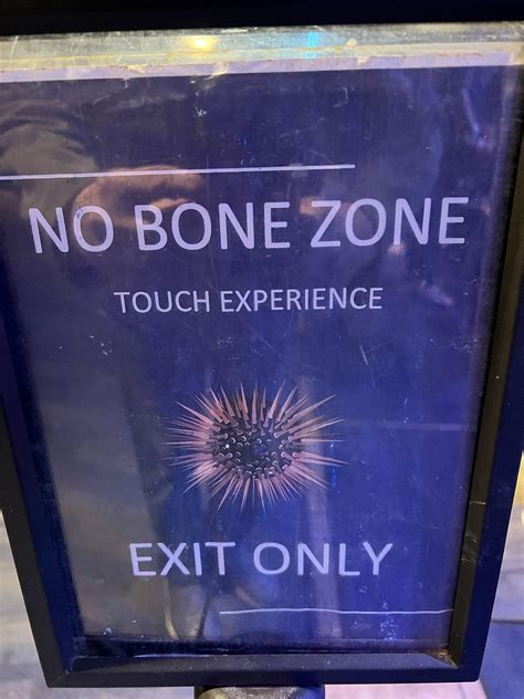 no bone zone 9