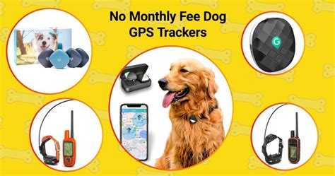 No Monthly Fee Dog Tracker