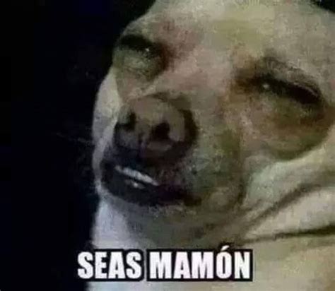 Meme de No seas mamón Neta eres un pendejo