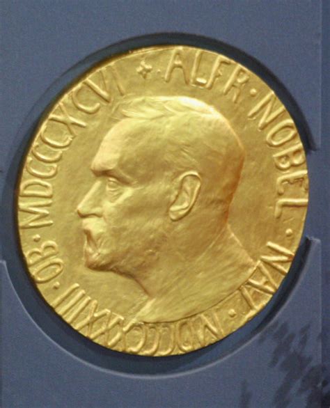 nobel peace prize 2008