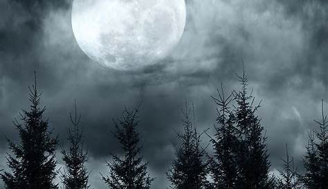 Pin de Isabel Luna en Buenas Noches | Imagenes de luna llena