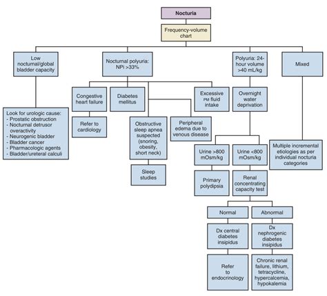 Nocturia Workup